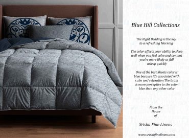 Blue Hill Collections