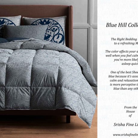 Blue Hill Collections